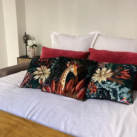 L'ecrin Nicois Hyper Centre Apartman *